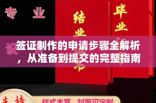 西平签证制作的申请步骤全解析，从准备到提交的完整指南