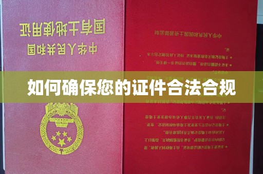 西平如何确保您的证件合法合规