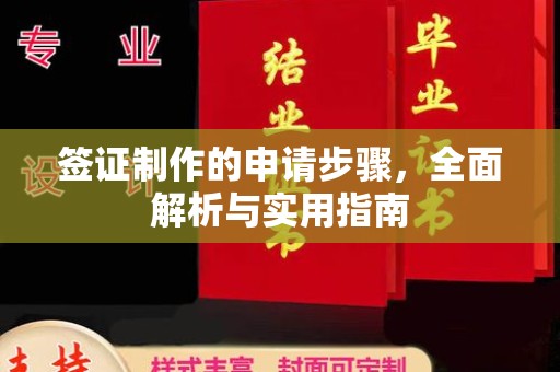 西平签证制作的申请步骤，全面解析与实用指南