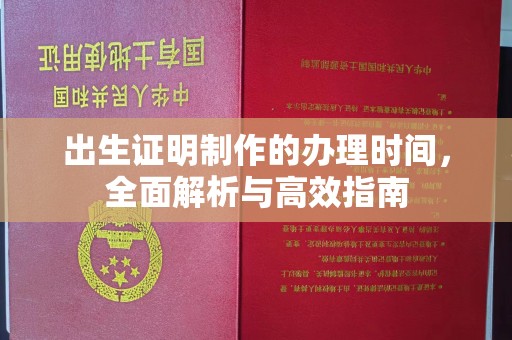 西平出生证明制作的办理时间，全面解析与高效指南