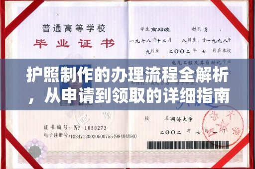 西平护照制作的办理流程全解析，从申请到领取的详细指南