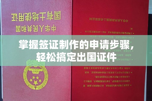 西平掌握签证制作的申请步骤，轻松搞定出国证件