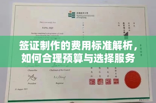 西平签证制作的费用标准解析，如何合理预算与选择服务
