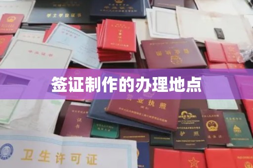 西平签证制作的办理地点