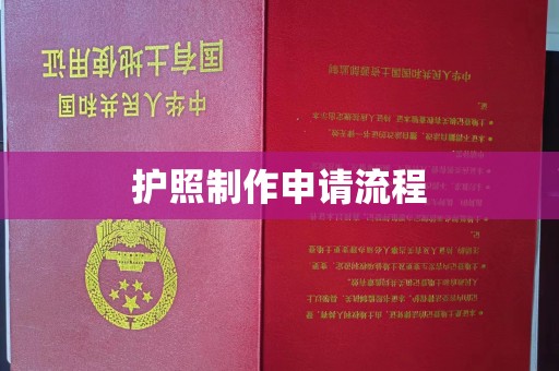 西平护照制作申请流程