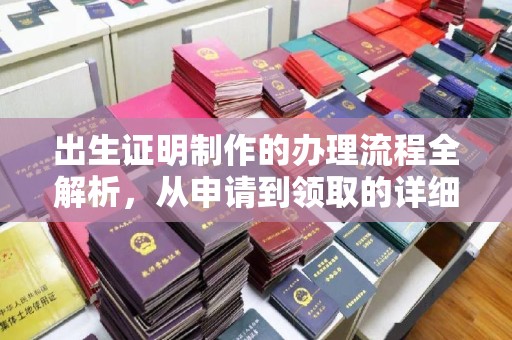 西平出生证明制作的办理流程全解析，从申请到领取的详细指南