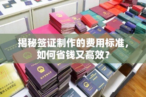 西平揭秘签证制作的费用标准，如何省钱又高效？